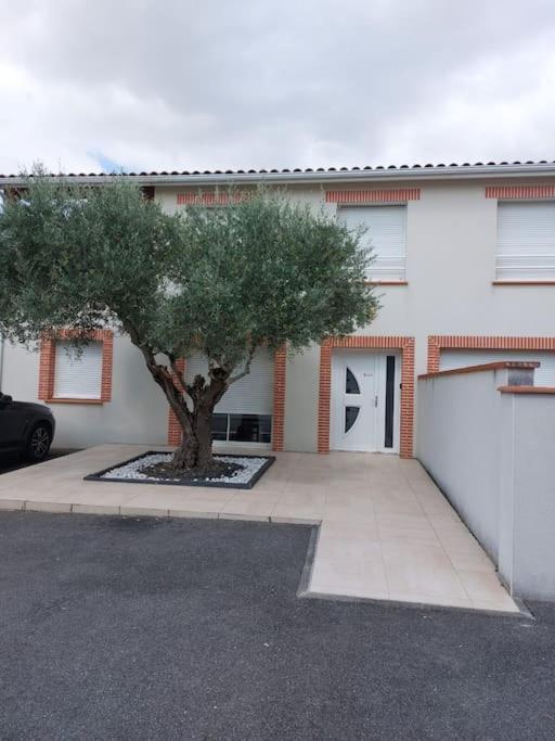 T3 Climatise, Parking Et Jardin Quartier Des Marots A Colomiers Apartment ภายนอก รูปภาพ